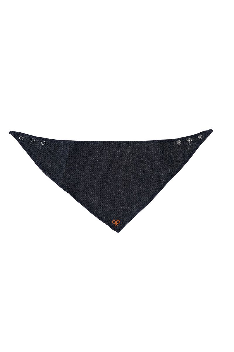 ACC-PAN-0000411