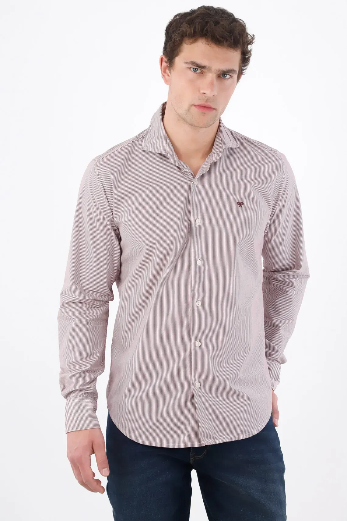CAM-0004181-1