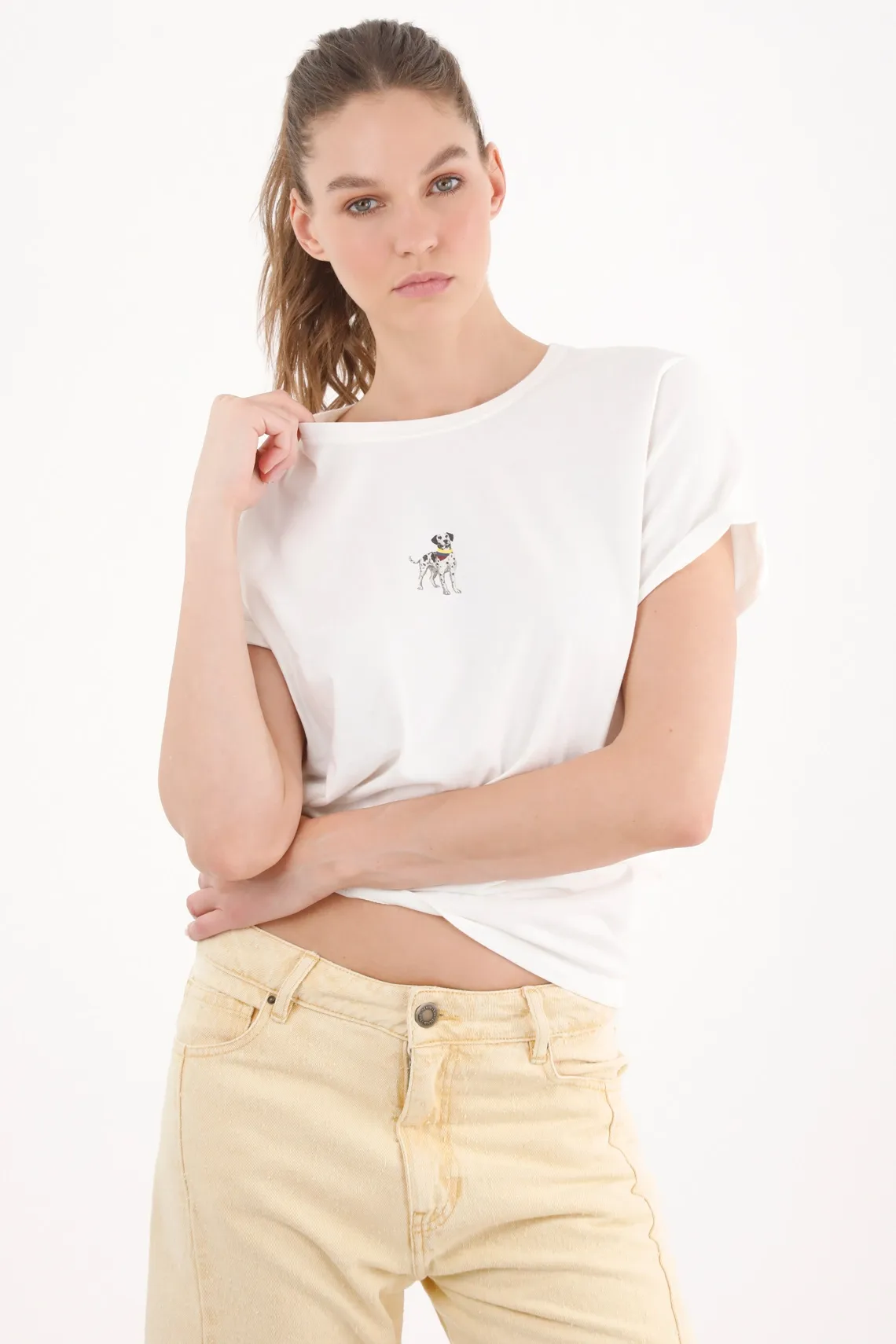 TSH-ENT-0009571-1