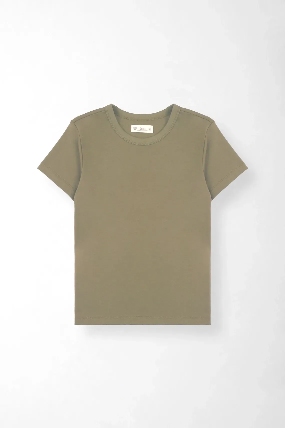 TSH-ENT-0009644_1
