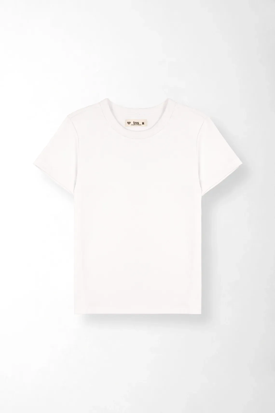 TSH-ENT-0009641_1