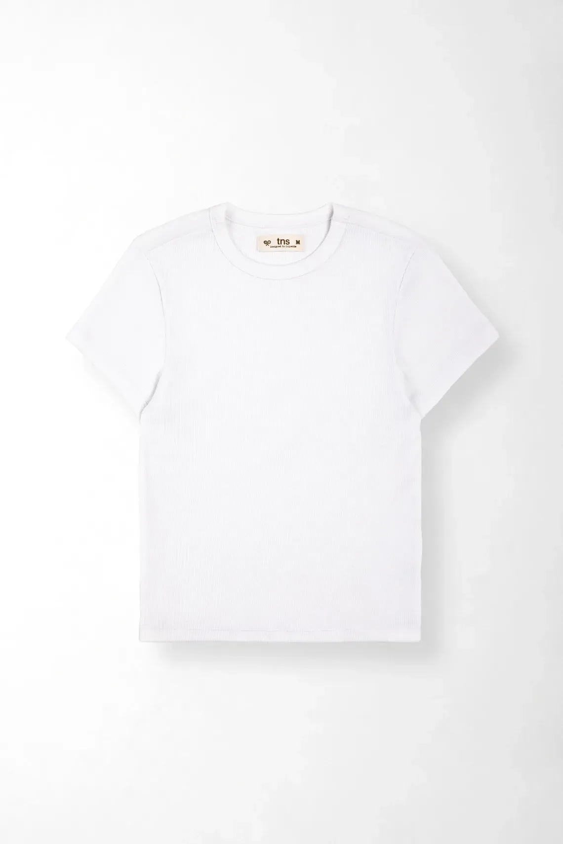 TSH-ENT-0009638_1